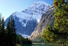 华体会皇马赞助商-亚洲足球赛事中球队笑到最后